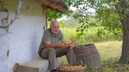 Kovács Gyula tündérkertek.jpg