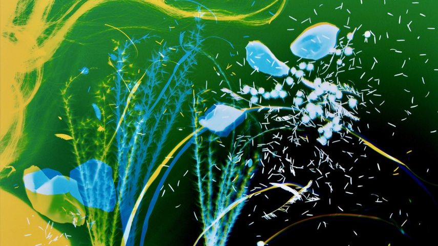 BPF_HAB TranszcendensDimenziók_PhilippineSchaefer_plant I_photogram_chromogenic print_2024-v.jpg