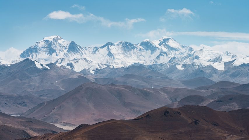 shutterstock_2407746337.jpg