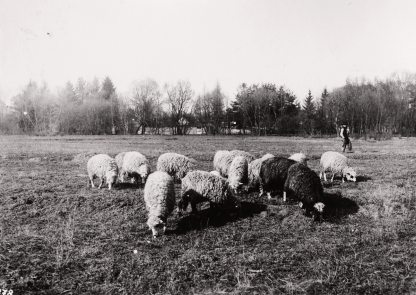 fortepan_95984.jpg