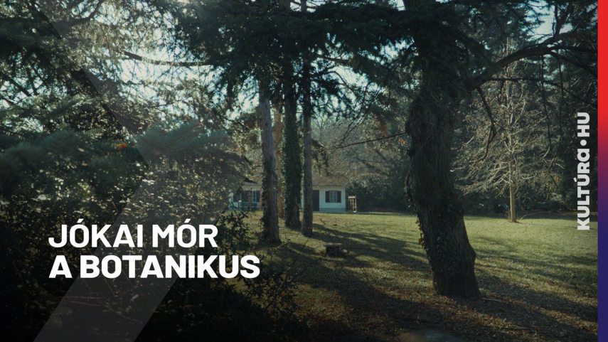 KULTURA_HU_JOKAI_BOTANIKUS.jpg