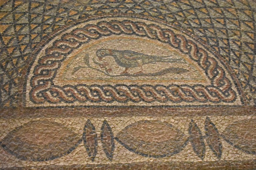 DSC_8479 Baláca 20250724.BK.JPG