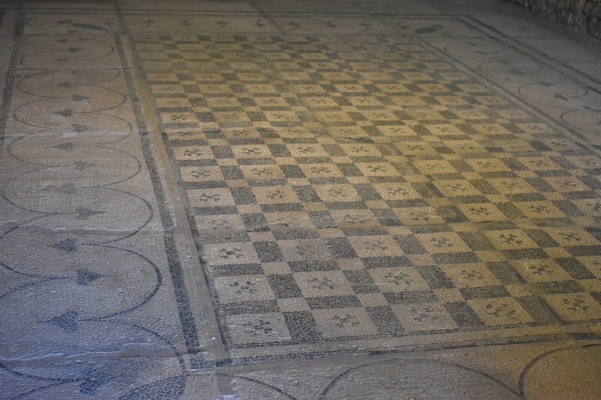 DSC_8499 Baláca 20250724.BK.JPG