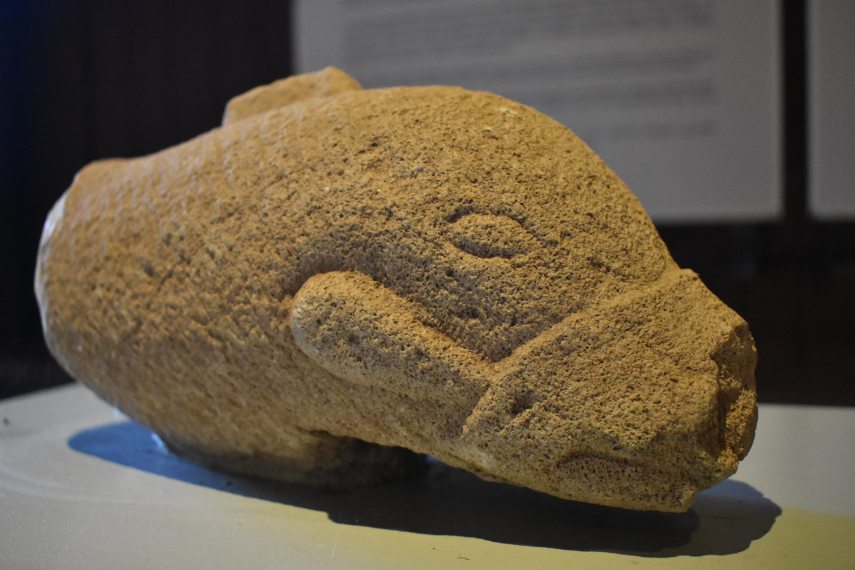 DSC_8507 Baláca 20250724.BK.JPG