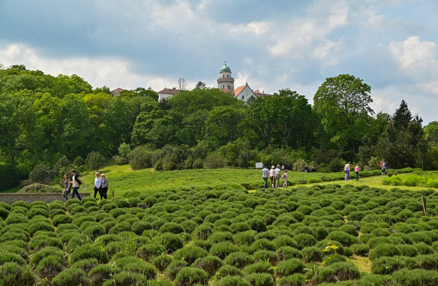 A pannonhalmi Arcus Temporum idei vezérgondolata a Kert.JPG