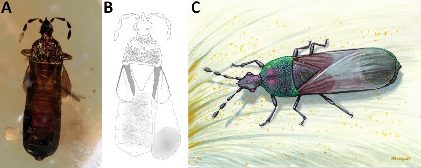 Kóbor & Szabó kep.jpg