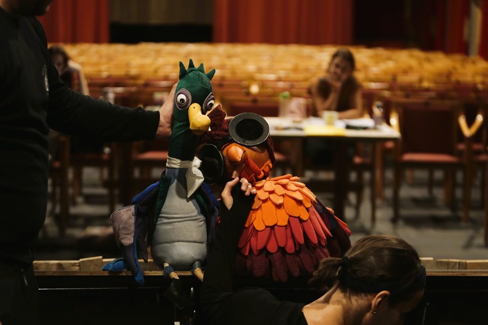 Sánta kacsa, vak tyúk.JPG