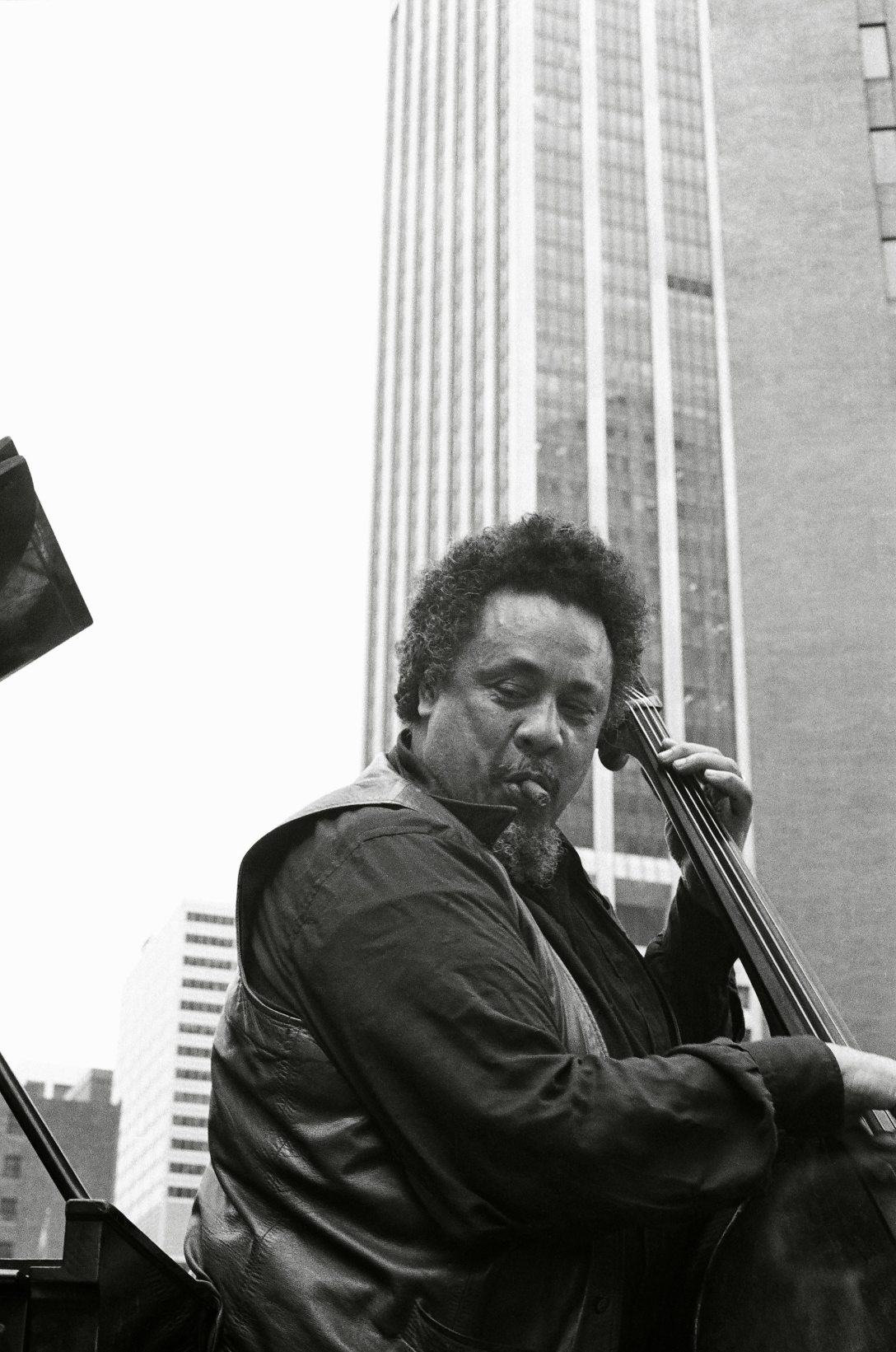 Charles_Mingus_1976.jpg