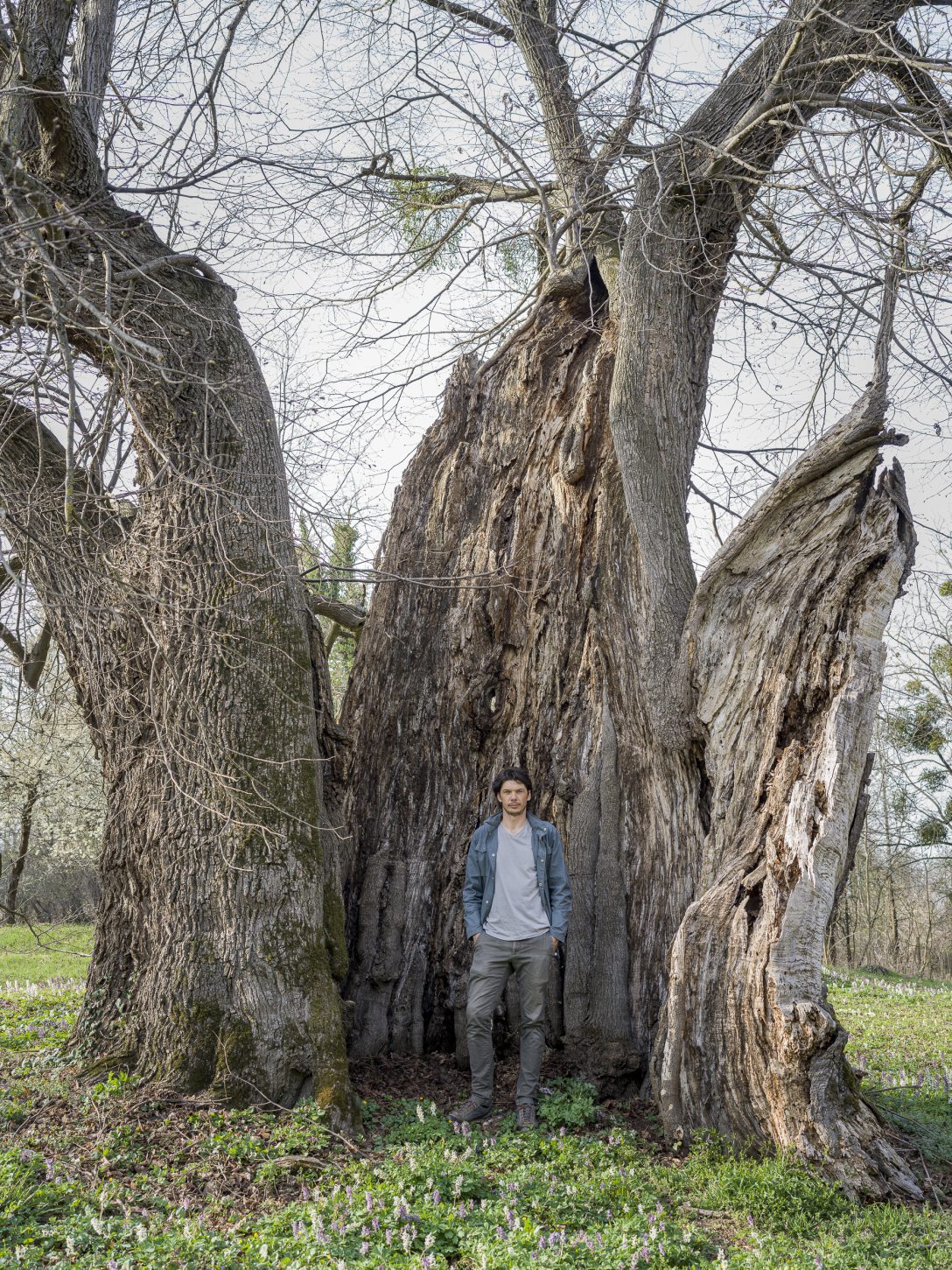 Kállai Márton Ötvöskónyi OK.jpg