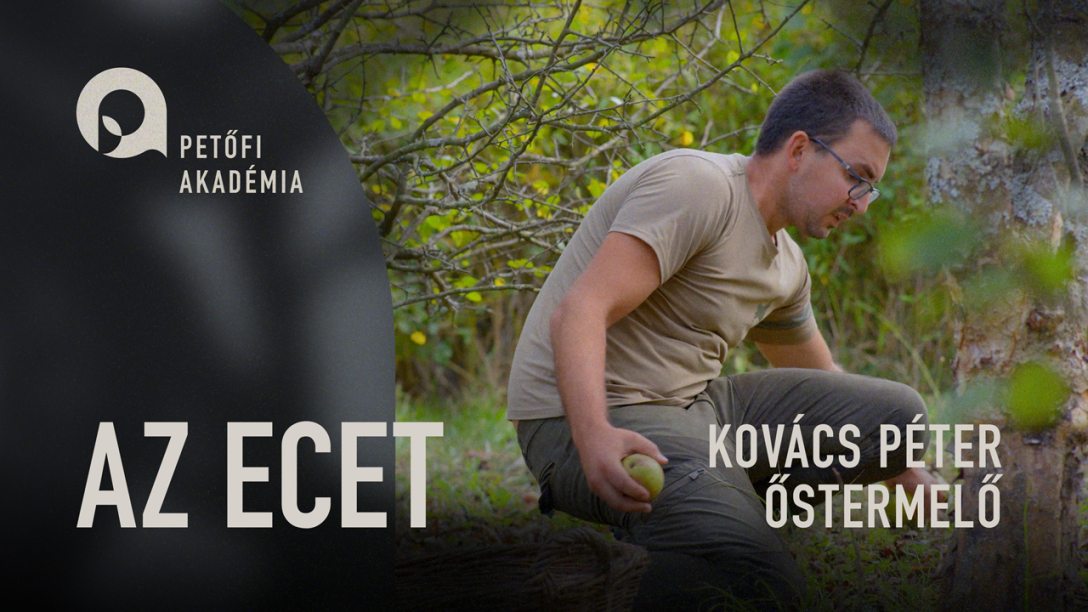 PETOFI_AKADEMIA_03_ECET_YT_THUMB.jpg