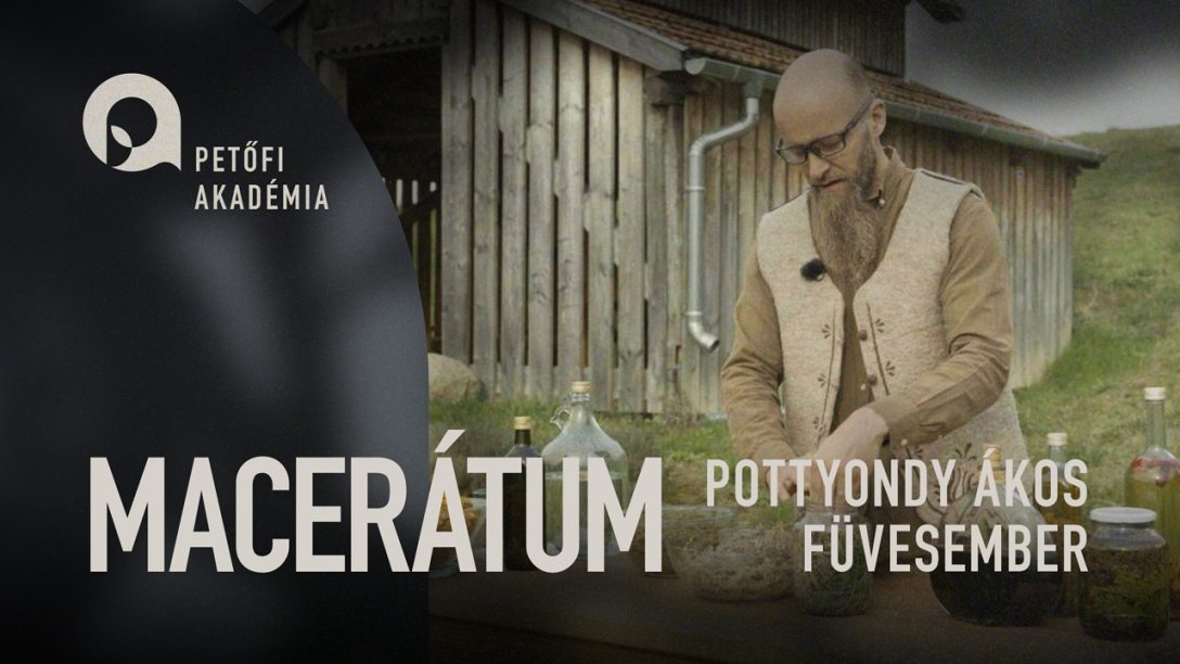 PETOFI_AKADEMIA_07_MACERATUM.jpg