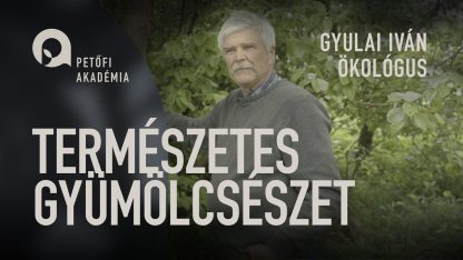 PETOFI_AKADEMIA_08_TERMESZETES_GYUMOLCSESZET.jpg