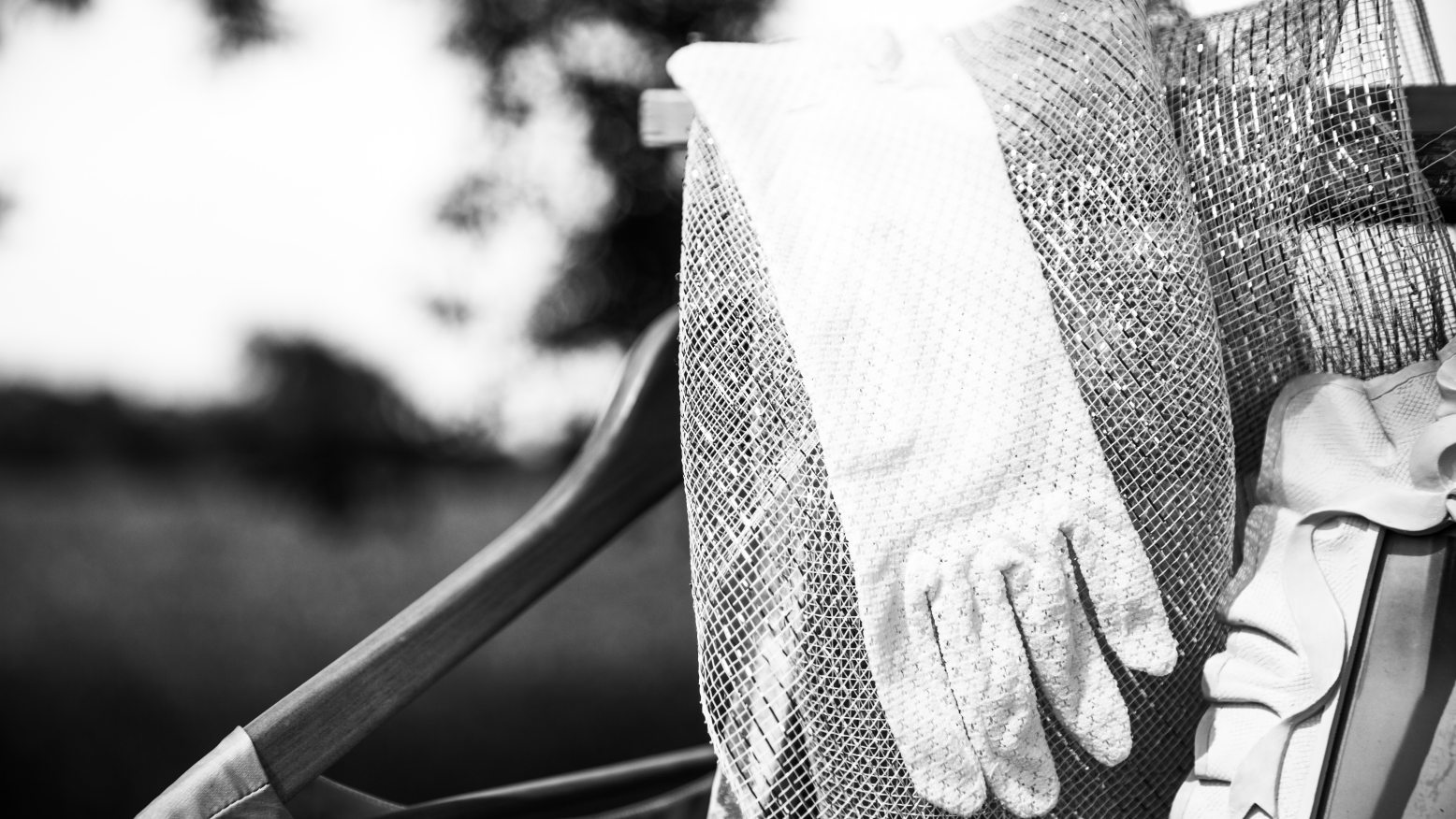 shutterstock_530013397 (1).jpg