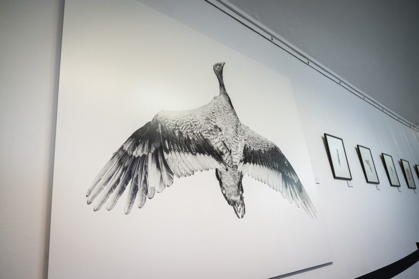 thumb-210888-default-medium-jpg_img_OcJNbs