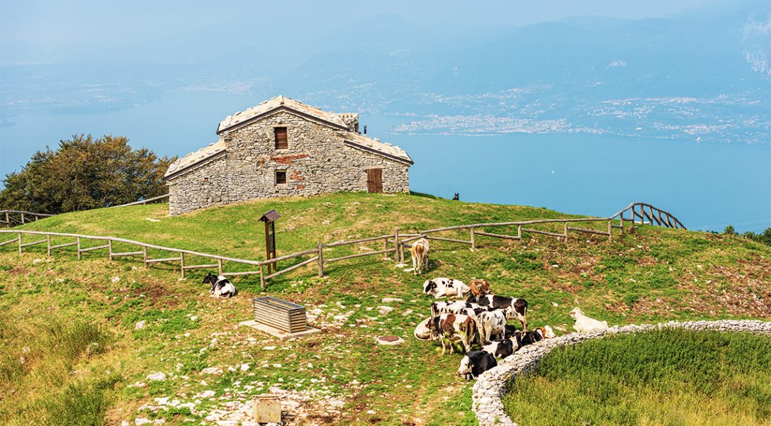 1749-szepirodalom-proza-11-29-jpg_img_bLYbhY