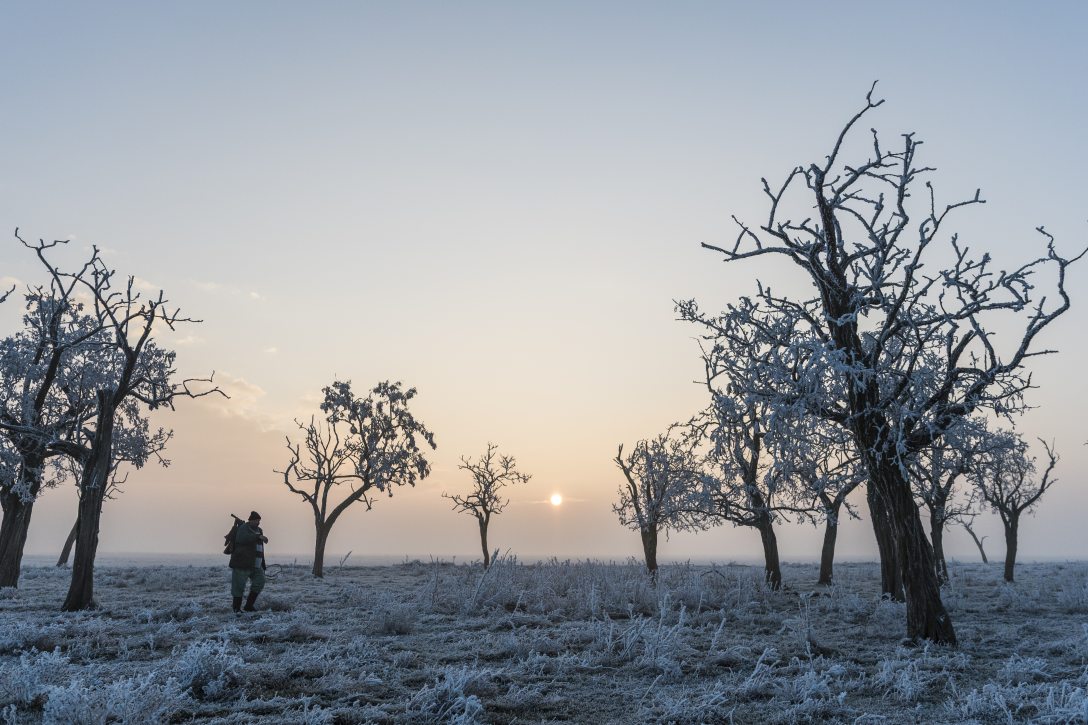 Fotó: Mónus Márton