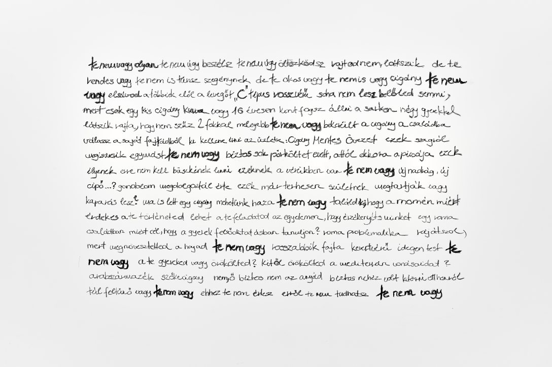 Horváth Anita te nem vagy olyan című munkája