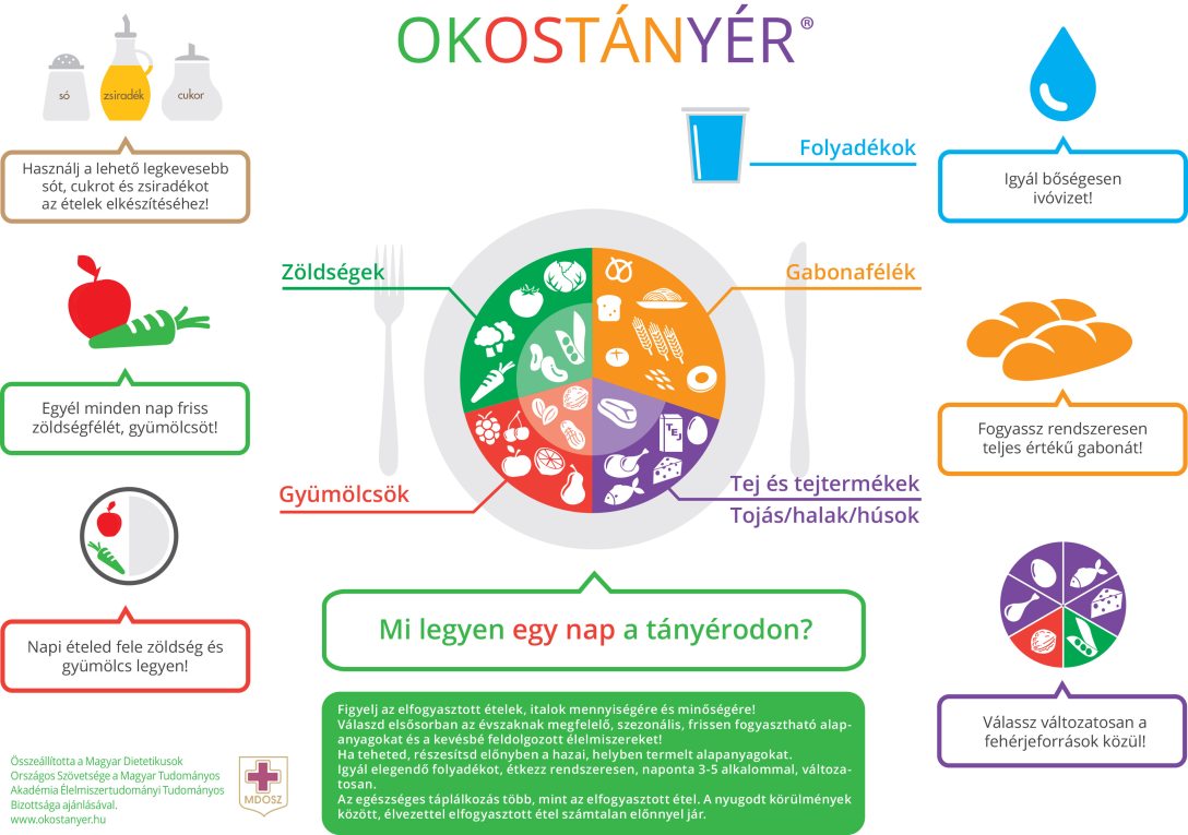 Forrás: okostanyer.hu