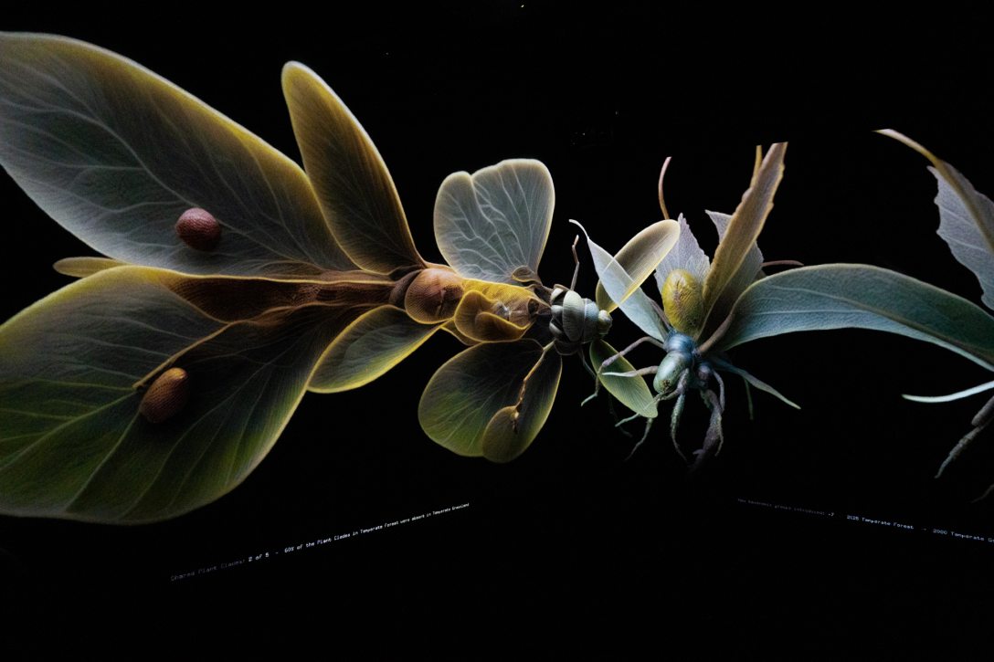 Alkotás a Light Art Museum: More Than Human című kiállításán. Fotó: Csiki Vivien / Kultúra.hu