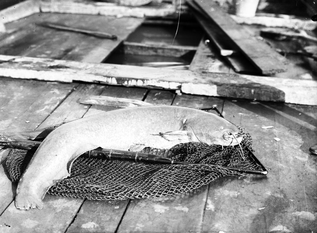 Fotó: Fortepan / SZTFH Földtani Szolgálatának gyűjteménye / Eötvös Loránd