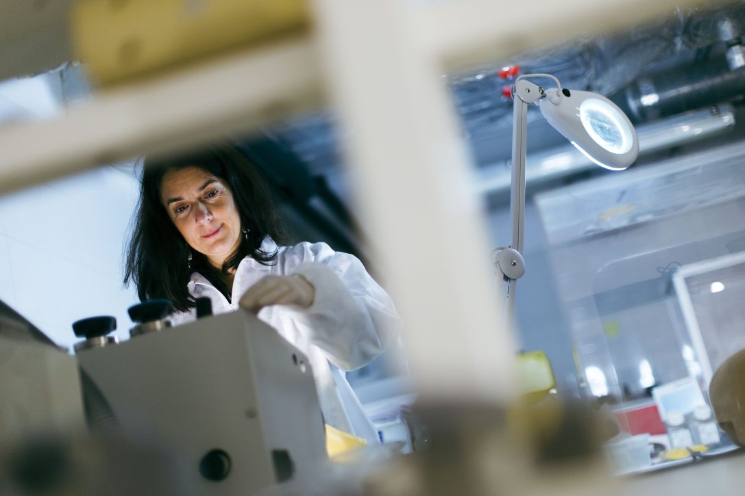 Szécsényi-Nagy Anna régész-biológus. Fotó: Kurucz Árpád / Magyar Kultúra magazin