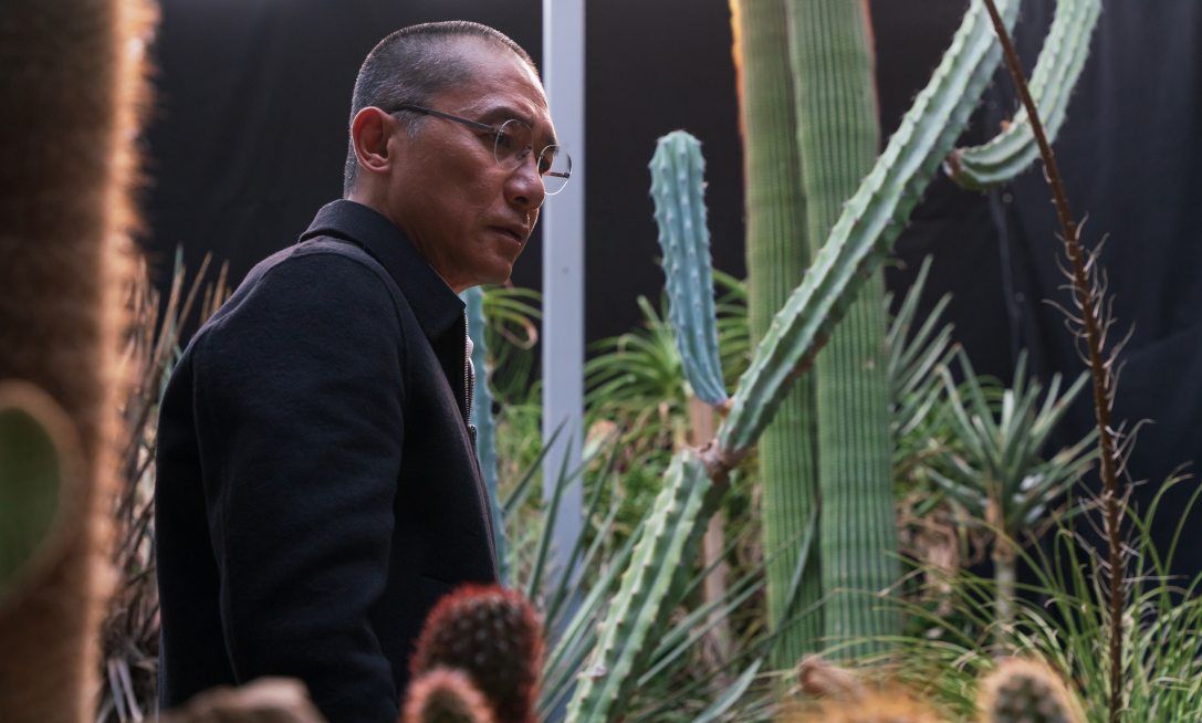 Tony Leung Chiu-wai Enyedi Ildikó Csendes barát című filmjében. Fotó: Mozinet