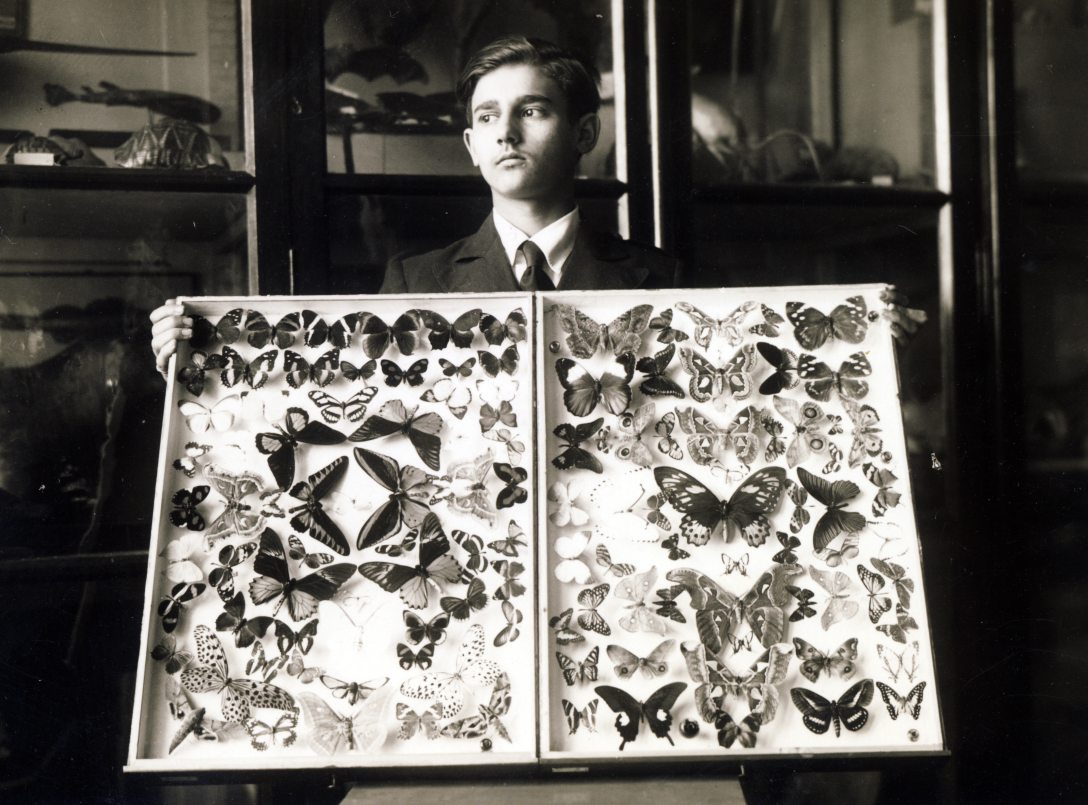 A kalocsai Érseki Főgimnázium állattani gyűjteményében 1938-ban. Fotó: Jezsuita Levéltár / Fortepan