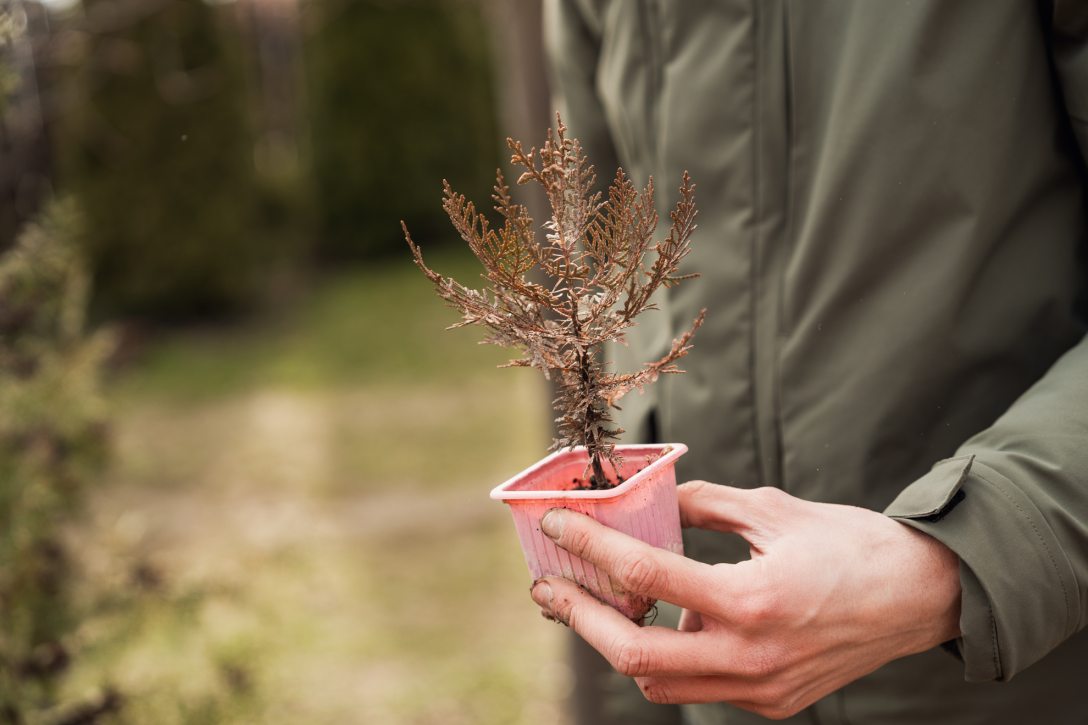 Mészáros Zsolt kertész, és titkokker, a Kertészkedés minden szezonra című közösségi oldal üzemeltetője. Fotó: Csiki Vivien / Kultúra.hu