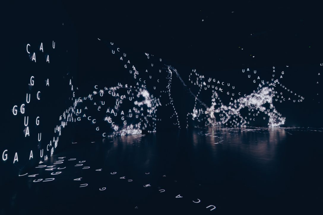 CODE Digitális Élményközpont. Fotó: Sorok Péter / Kultúra.hu