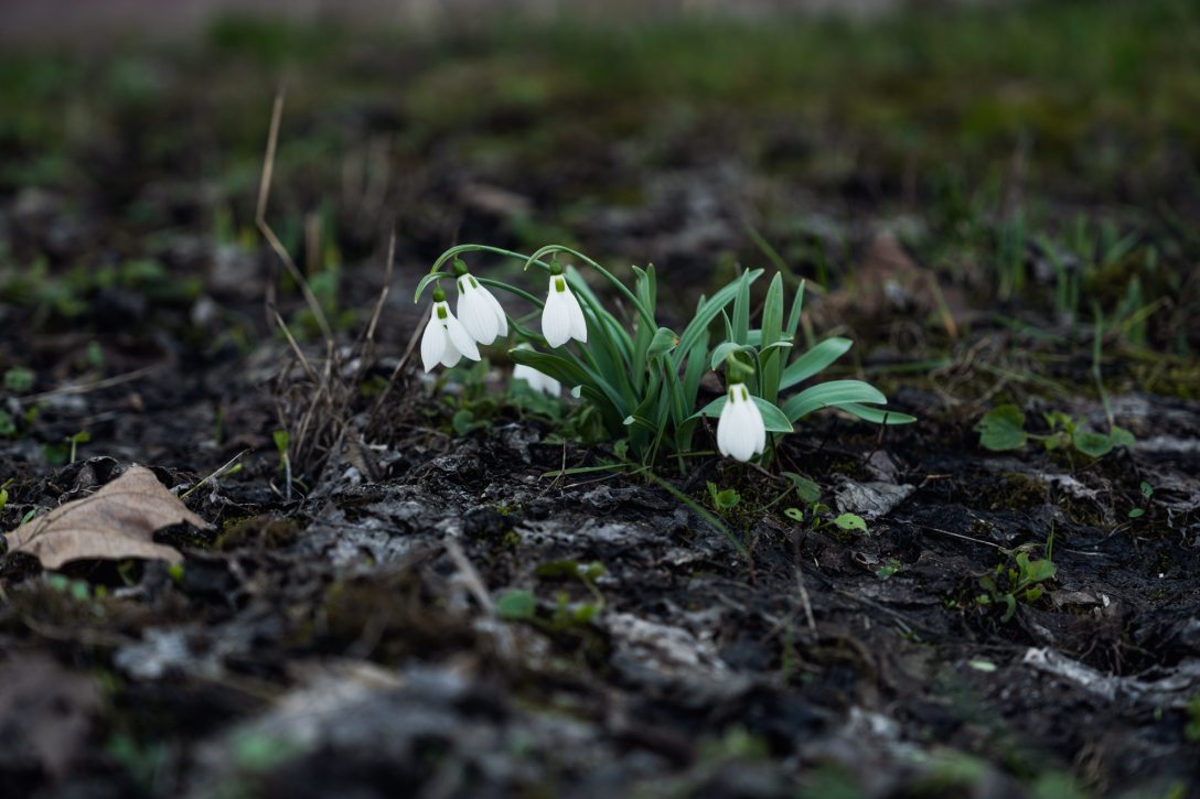 Mészáros Zsolt. Fotó: Csiki Vivien / Kultúra.hu