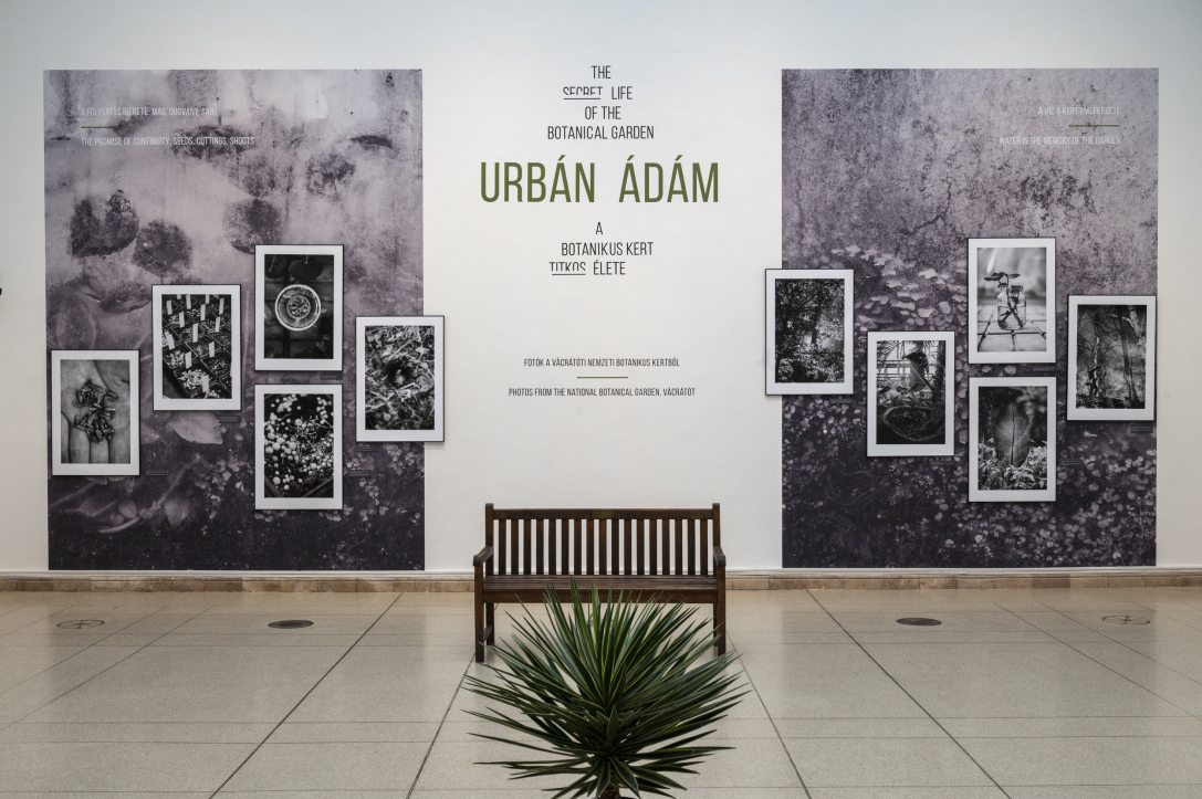 Fotó: Urbán Ádám