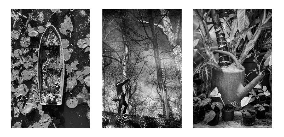 Fotó: Urbán Ádám