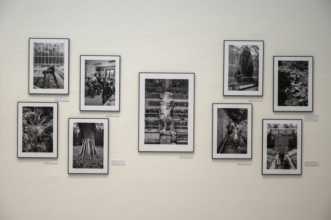 Fotó: Urbán Ádám