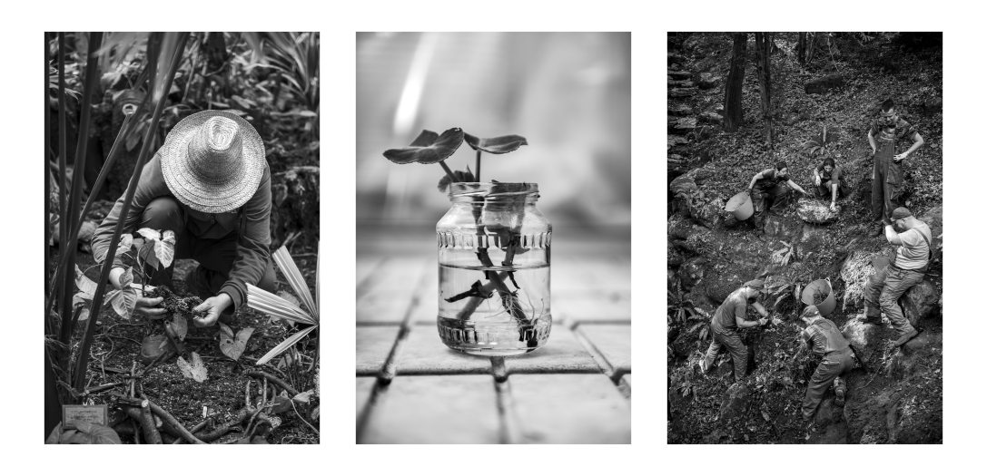 Fotó: Urbán Ádám