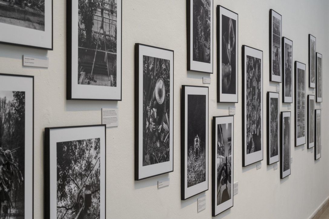 Fotó: Urbán Ádám