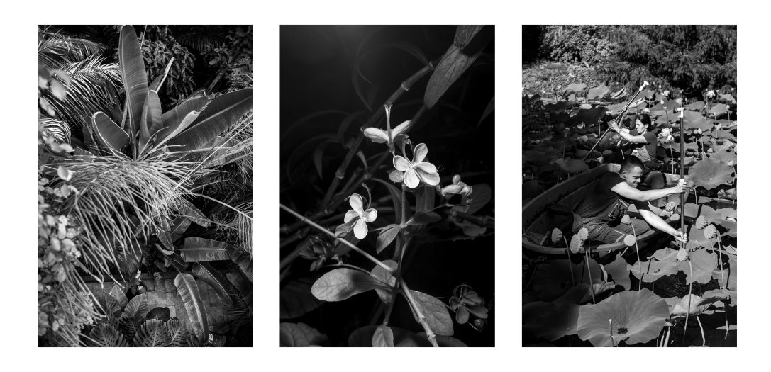 Fotó: Urbán Ádám