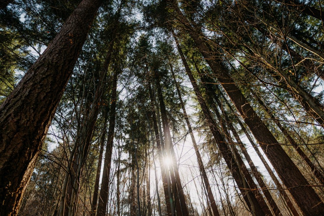 Fotó: Hegyi Júlia Lili / Kultúra.hu