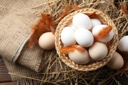 shutterstock_2687680769.jpg