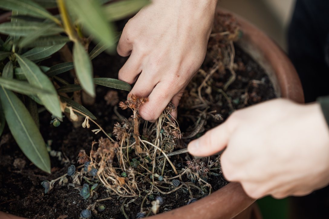 Mészáros Zsolt. Fotó: Csiki Vivien / Kultúra.hu