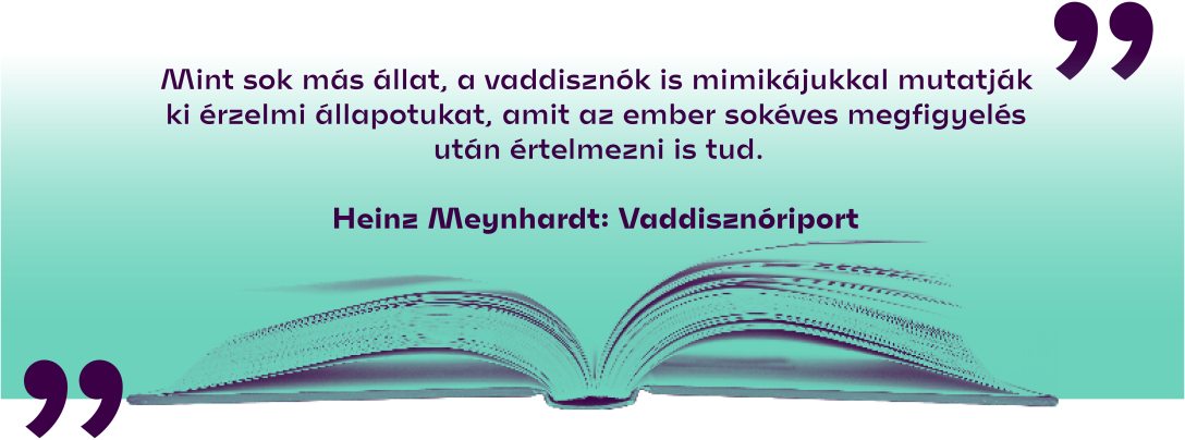 Heinz Meynhardt: Vaddisznóriport