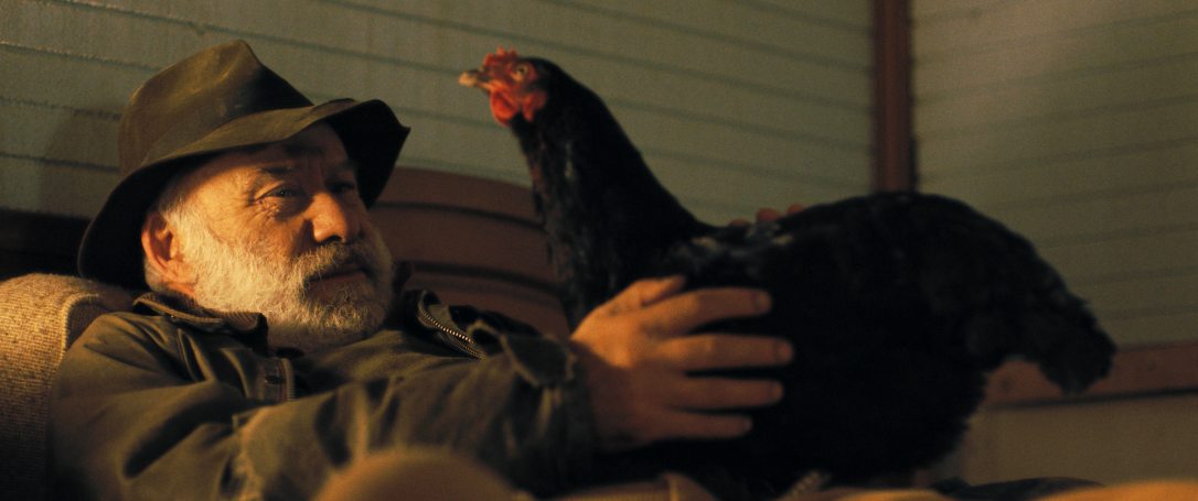 Jelenet Pálfi György A Tyúk című filmjéből. Fotó: Mozinet