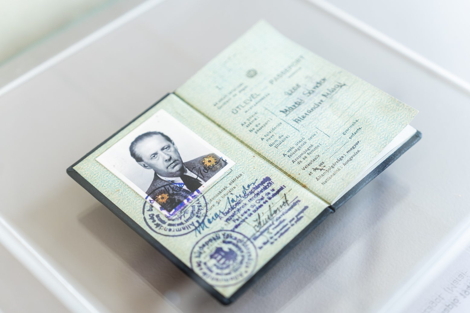 Budára költöztem című kiállítás. Fotó: Csiki Vivien / Kultúra.hu MESZAROS_TIBOR_MARAI_KIALLITAS_CSV_5.jpg