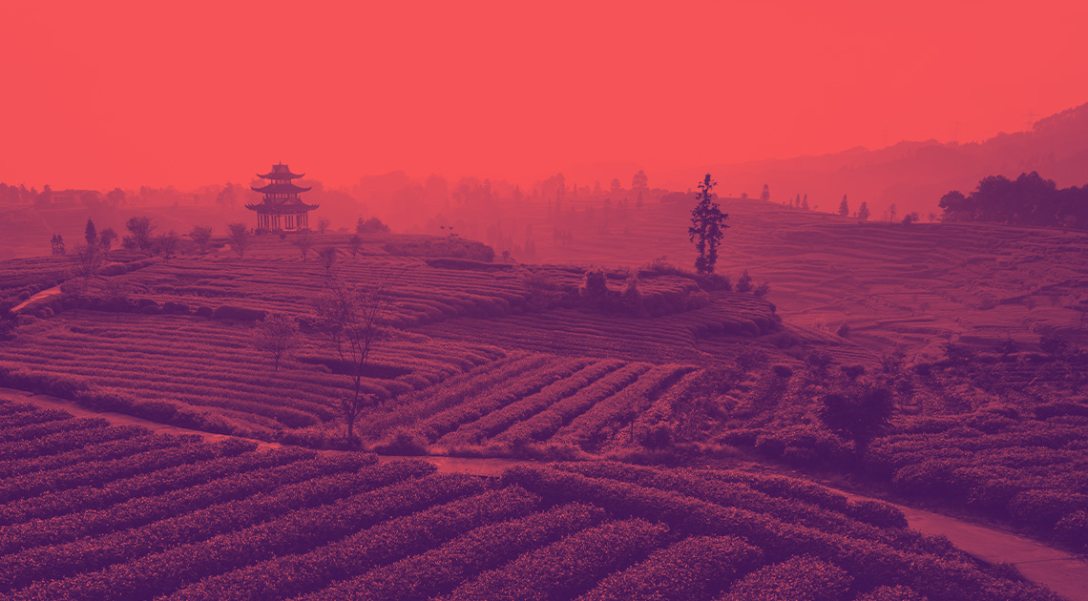 1749-essze-26-04-15-jpg_img_HrJzvR