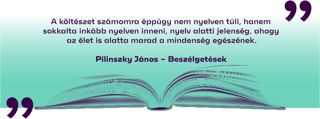 Pilinszky János: Beszélgetések
