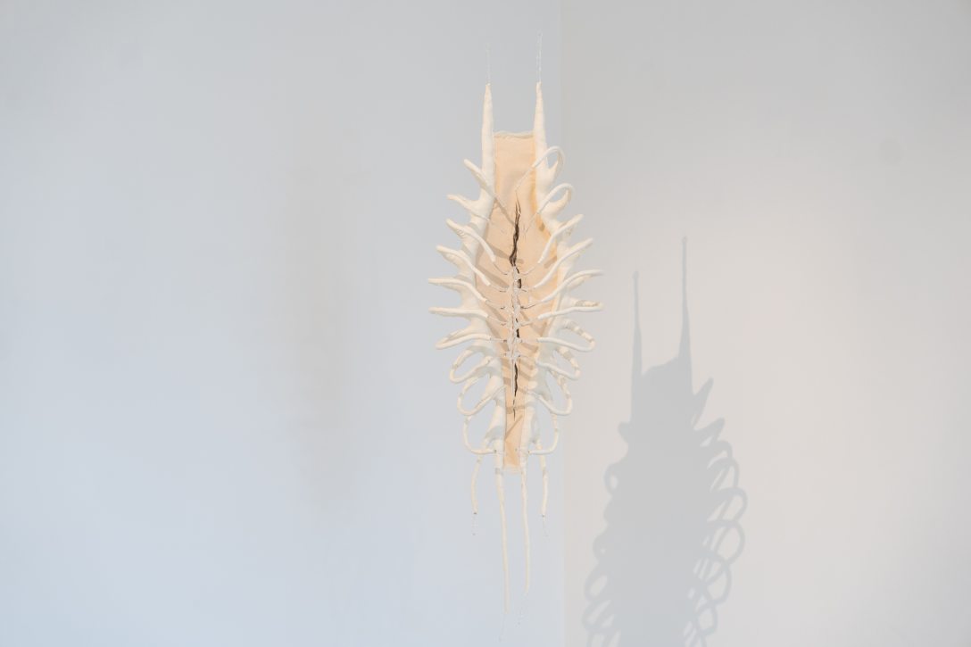 Csatlós Asztrid és Metzing Eszter Archive of Contact című közös kiállítása. Fotó: Csiki Vivien / Kultúra.hu