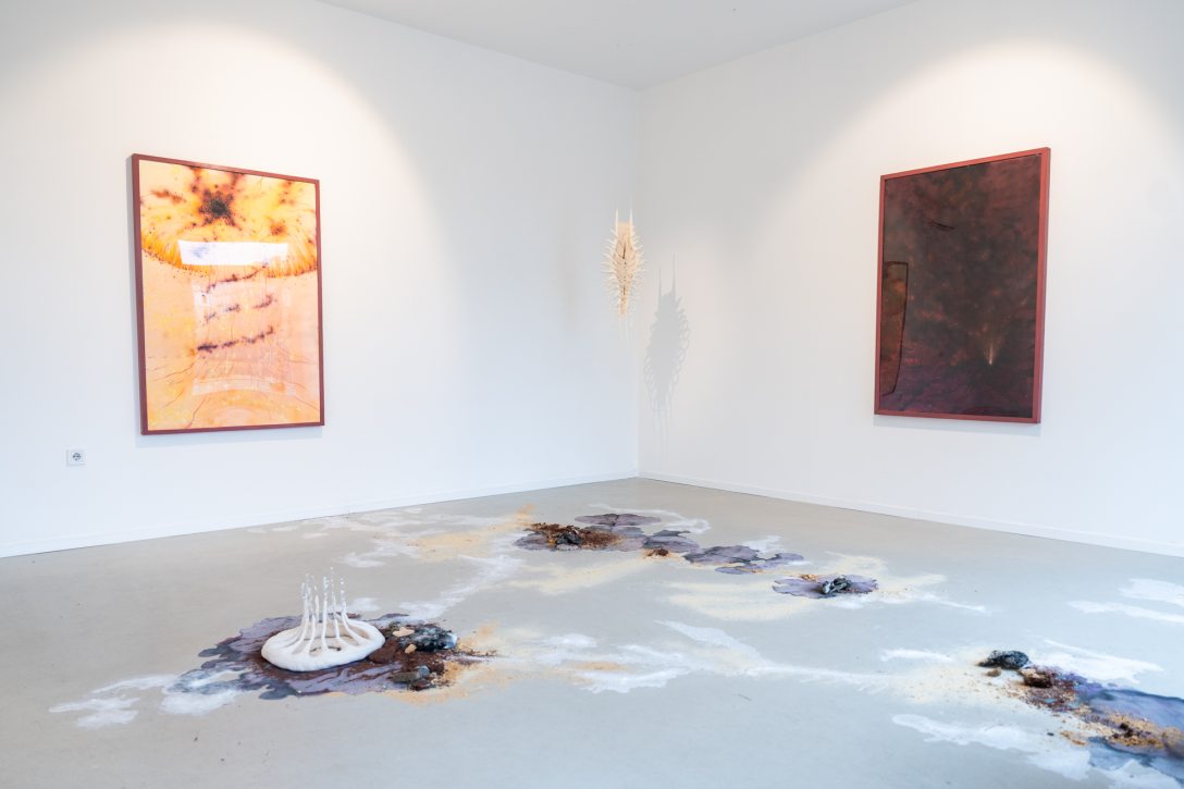 Csatlós Asztrid és Metzing Eszter Archive of Contact című közös kiállítása. Fotó: Csiki Vivien / Kultúra.hu