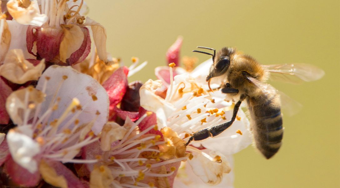 1749-vers-26-04-20-jpg_img_bZgxth