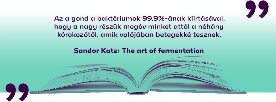 Sandor Katz: The art of fermentation