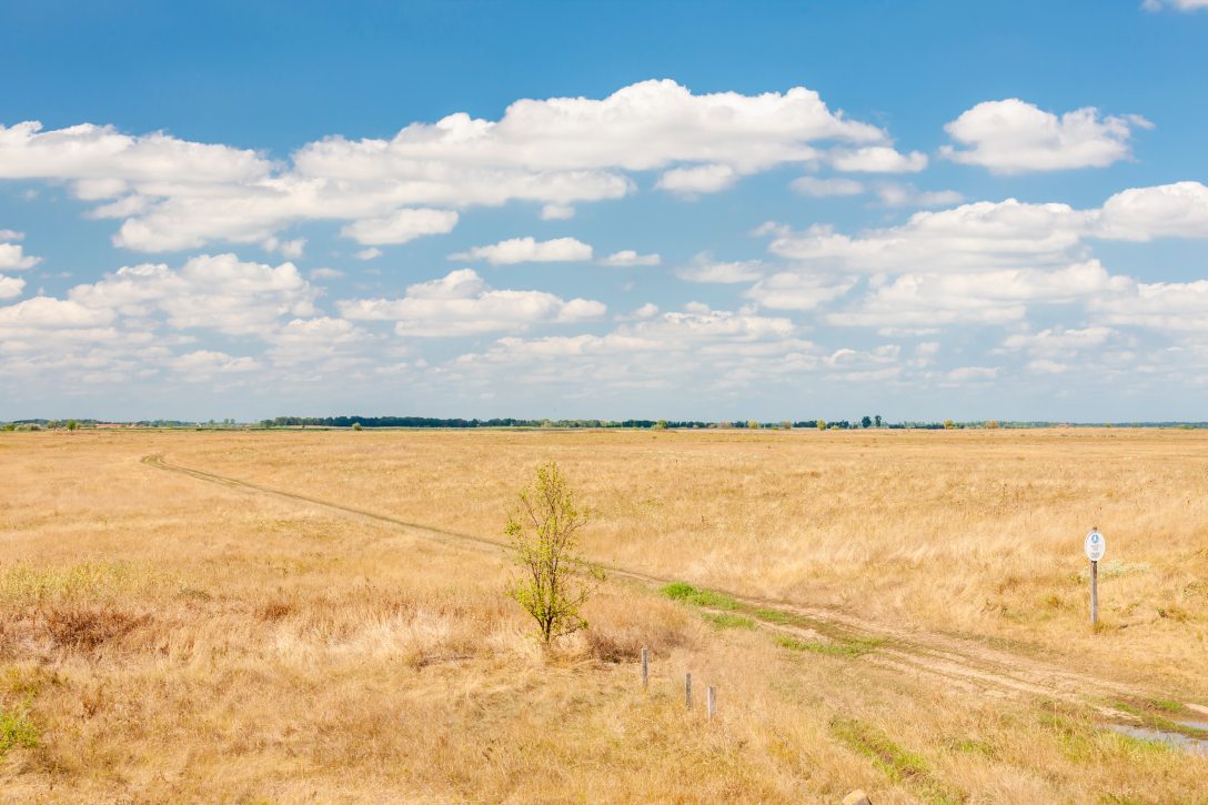 A Hortobágyi Nemzeti Park. Fotó: Richard Semik/Shutterstock