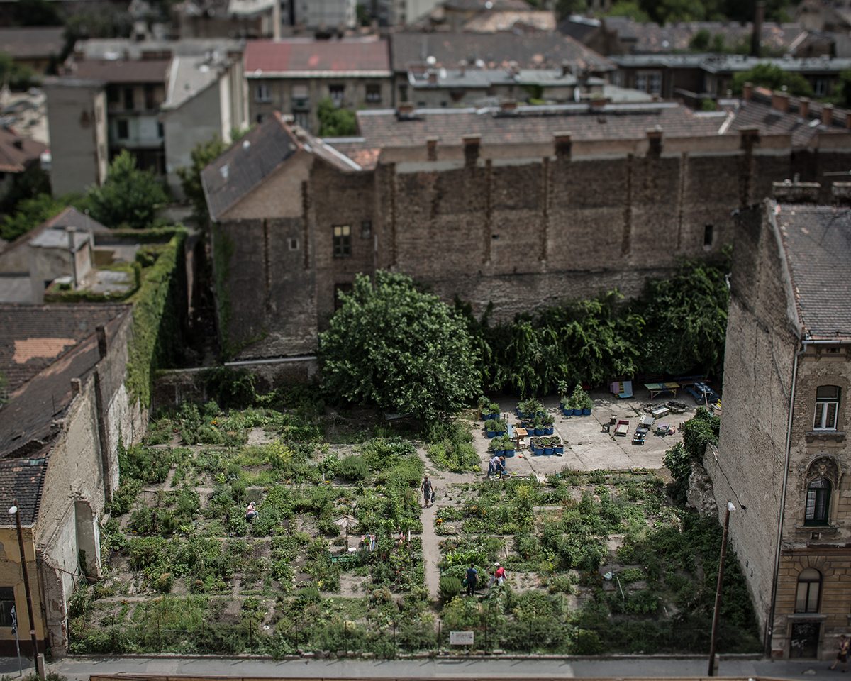 Community gardens Budapest 15.jpg